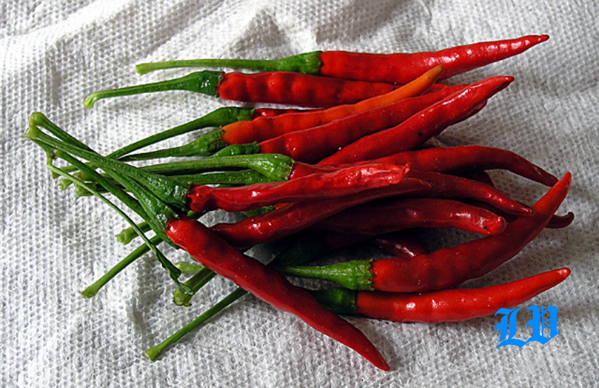 chile de arbol