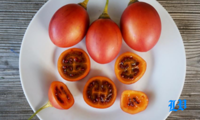 tomate de arbol