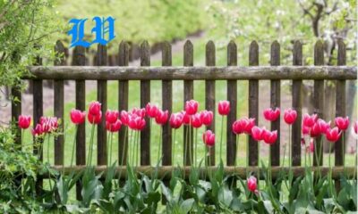 garden fences