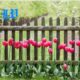 garden fences