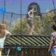 best trampolines