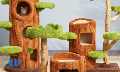 cute cat tree