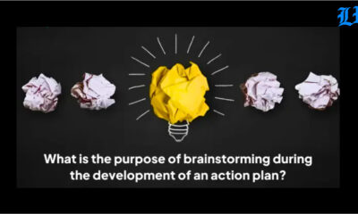 what is the purpose of brainstorming during the development of an action plan?