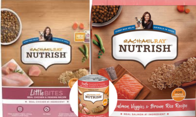 Rachael Ray’s Nutrish dog food.