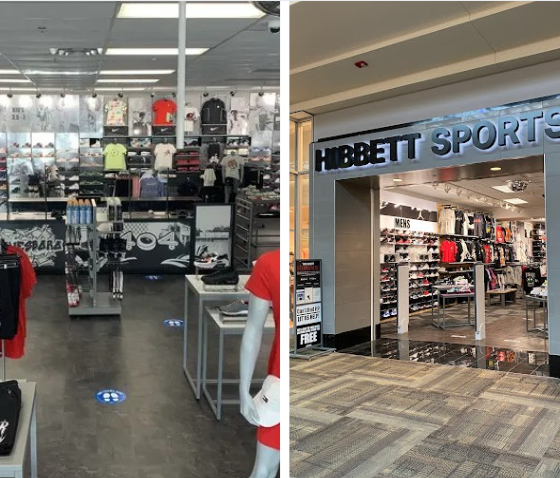 hibbett sports